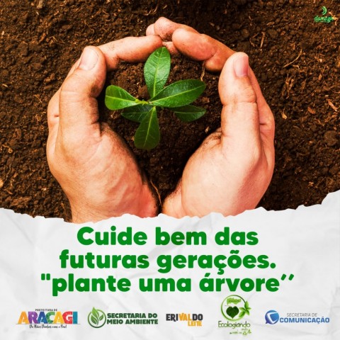 Imagem de destaque